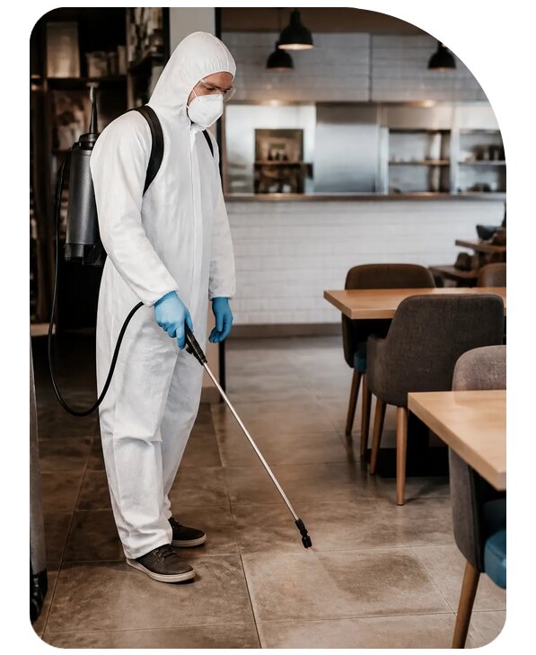 Профессиональная дезинсекция кафе в Карасуке по цене от 5079 р. | Сенат-Кск
